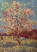 Vincent Van Gogh, Bluhender Pfirsischbaum